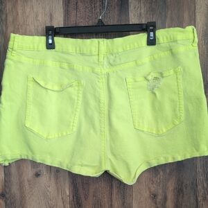 Scoop Vibrant Yellow Women's Distressed Jean Shorts 20                     -811G